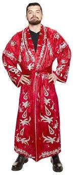 WWE Wrestling Costumes Ric Flair Adult Collectible Dress Up Robe Jakks ...